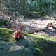 ZdenkaV on peak Brusnice