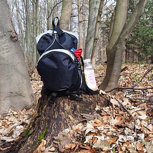 Jiřina na vrcholu Hnídavec (4.4.2021 16:15)