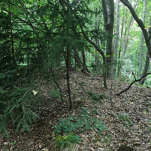 Cody na vrcholu Hnídavec (22.8.2021)