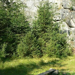 Křižanovská vrchovina