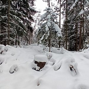 michalzhor na vrcholu Štenice (16.1.2021 12:00)