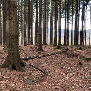Alexandr Starý na vrcholu Obidová JV (13.11.2021 10:05)