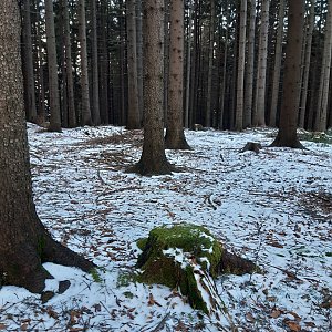 ZdenkaV na vrcholu Obidová JV (11.1.2022 9:59)