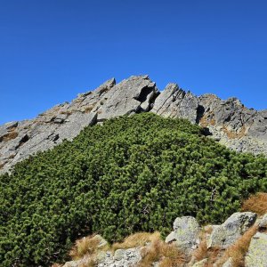 Marcela Kubíčková na vrcholu Skriniarky (28.9.2023 11:20)