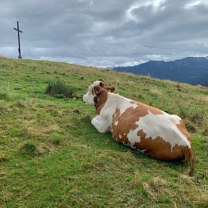 Jan Matiášek na vrcholu Heigelkopf (19.9.2022 13:33)