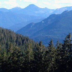 Torr na vrcholu Blomberg Ostgipfel (21.8.2020 17:00)