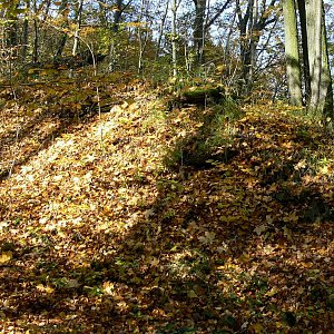 Mountainer na vrcholu Dlouhé vrchy (18.10.2008 11:27)