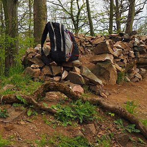 Jiřina na vrcholu Dlouhé vrchy (1.5.2021 12:06)