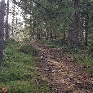 Cesty Haničky a Milana na vrcholu Dlouhý vrch (23.2.2021 15:10)
