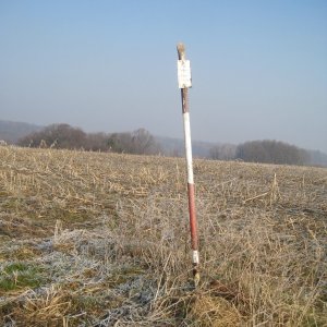 ZdenkaV na vrcholu U Příčnice (11.2.2025 10:31)