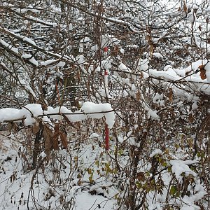 Petr Pepe Peloušek na vrcholu U Velicesty (11.12.2021 9:07)