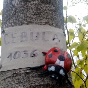 Jiřina na vrcholu Cebula (9.5.2026 10:36)