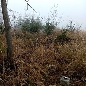 Jiřina on the summit of Vrchy (29.11.2022 11:33)