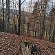Šárka na vrcholu Čertův Mlýn (16.11.2021 15:23)