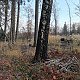 Šárka na vrcholu Obecník (16.11.2021 14:56)