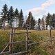 Šárka na vrcholu Obecník (16.11.2021 14:56)