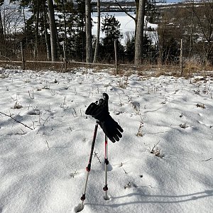 Radka D na vrcholu Obecník (5.2.2023 13:10)