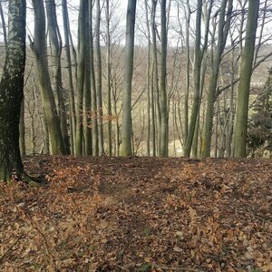 Zdena Trommler na vrcholu Obecník (27.2.2024 13:08)