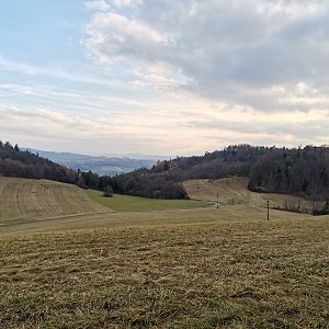 Šárka na vrcholu Požaha SV vrchol (16.11.2021 14:31)