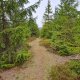 Roman Skácel on peak Hřebence (Holý vrch)