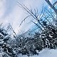 Karin na vrcholu Smrk - J vrchol (3.1.2021 1:09)