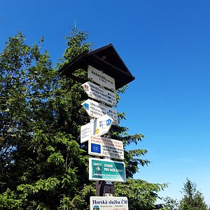 Evík na vrcholu Radegast - Z vrchol II (30.7.2020 11:45)