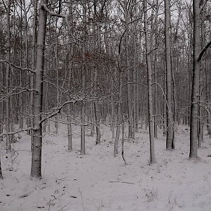 Bouřka na vrcholu Val (30.11.2021 16:22)