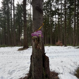 COlin na vrcholu Slavíč JV vrchol (25.1.2025)