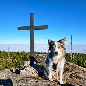 Jiří Králík on the summit of Svaroh (8.11.2025 10:51)