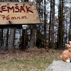 Jiřina na vrcholu Střemšák (18.4.2022 13:00)