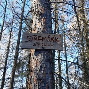 ZdenkaV na vrcholu Střemšák (29.1.2024 12:40)