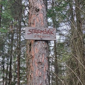 Horalka Anička na vrcholu Střemšák (9.6.2024 13:27)