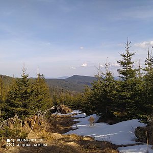 Romana na vrcholu Solovec - J vrchol (24.4.2021 5:29)