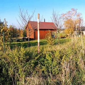 Šárka na vrcholu U Třešně (24.10.2024 15:33)