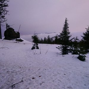 Šumava