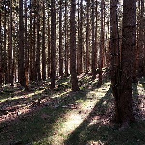 Bouřka na vrcholu V oboře - S vrchol (17.10.2022 12:16)