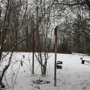 ZdenkaV on the summit of Polomec (14.1.2024 12:00)