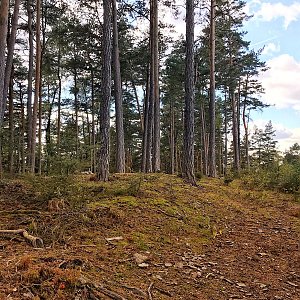 Martin Matějka na vrcholu Vlč J (16.10.2021 13:15)
