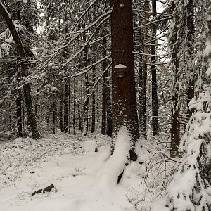 Bouřka na vrcholu Kamenná (2.4.2022 16:04)