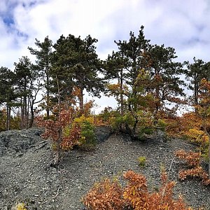 Brdský jednohubky P50