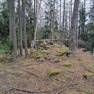 Horalka Anička na vrcholu Beranec (22.4.2022)