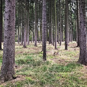 Martin Matějka na vrcholu Kopaniny (17.10.2021 12:27)