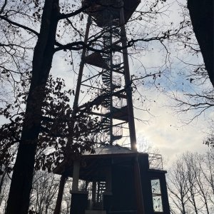 Mertelici na tripu na vrcholu Milířský kopec (23.11.2025 14:24)