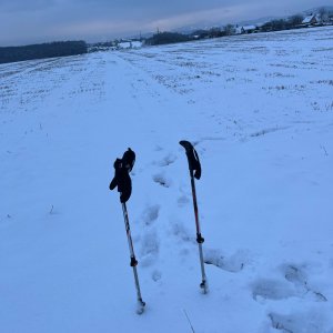 Radka D on the summit of Rohov (17.2.2026 16:31)