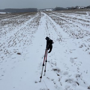 Radka D on the summit of Rohov (21.2.2026 10:52)