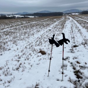 Radka D on the summit of Rohov (22.2.2026)