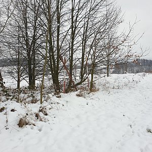 Petr Pepe Peloušek na vrcholu Hůrky (11.12.2021 9:28)