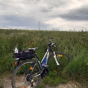 ZdenkaV on the summit of Vrchovina (6.6.2024 17:38)