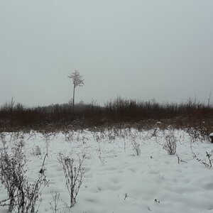 Jozef Farkaš on the summit of Kalvice (10.12.2023 9:59)