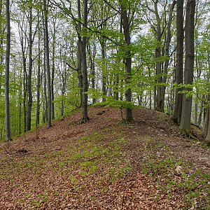 Petr Pepe Peloušek na vrcholu Kamenice Z vrchol (29.4.2022 11:14)
